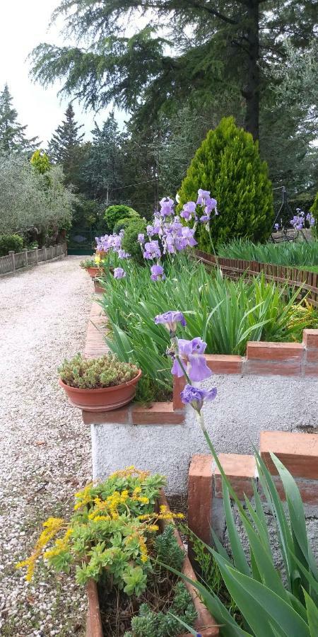 I Pini House Villa Magione Kültér fotó